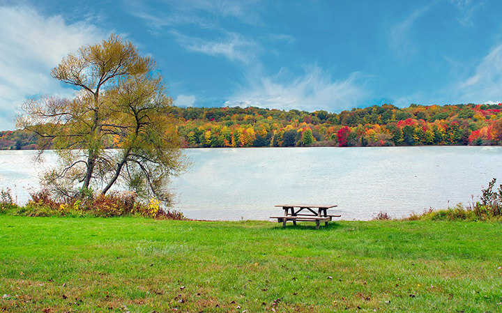 Manufacturing Processes - The Environmental Impact of Using Commercial Picnic Tables in Public Spaces